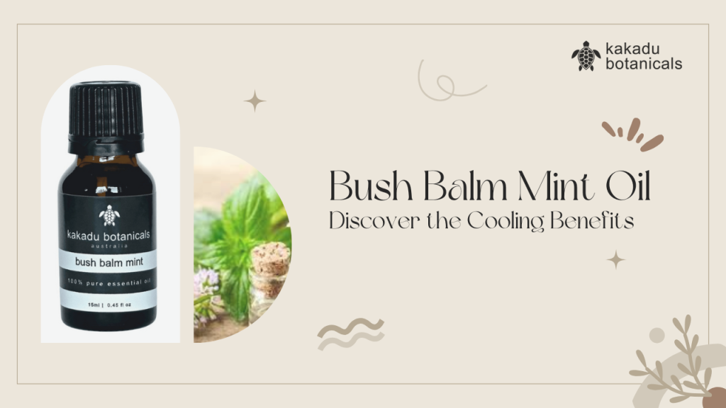 Discover the Cooling Relief of Bush Balm Mint Oil