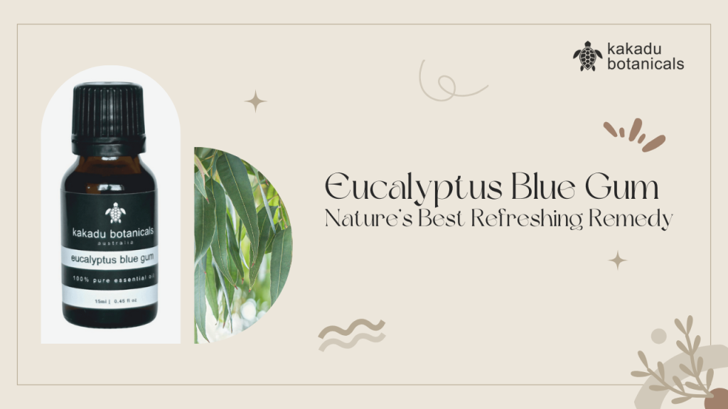 Eucalyptus Blue Gum - Boost Immune System with the Benefits of Essential Oils