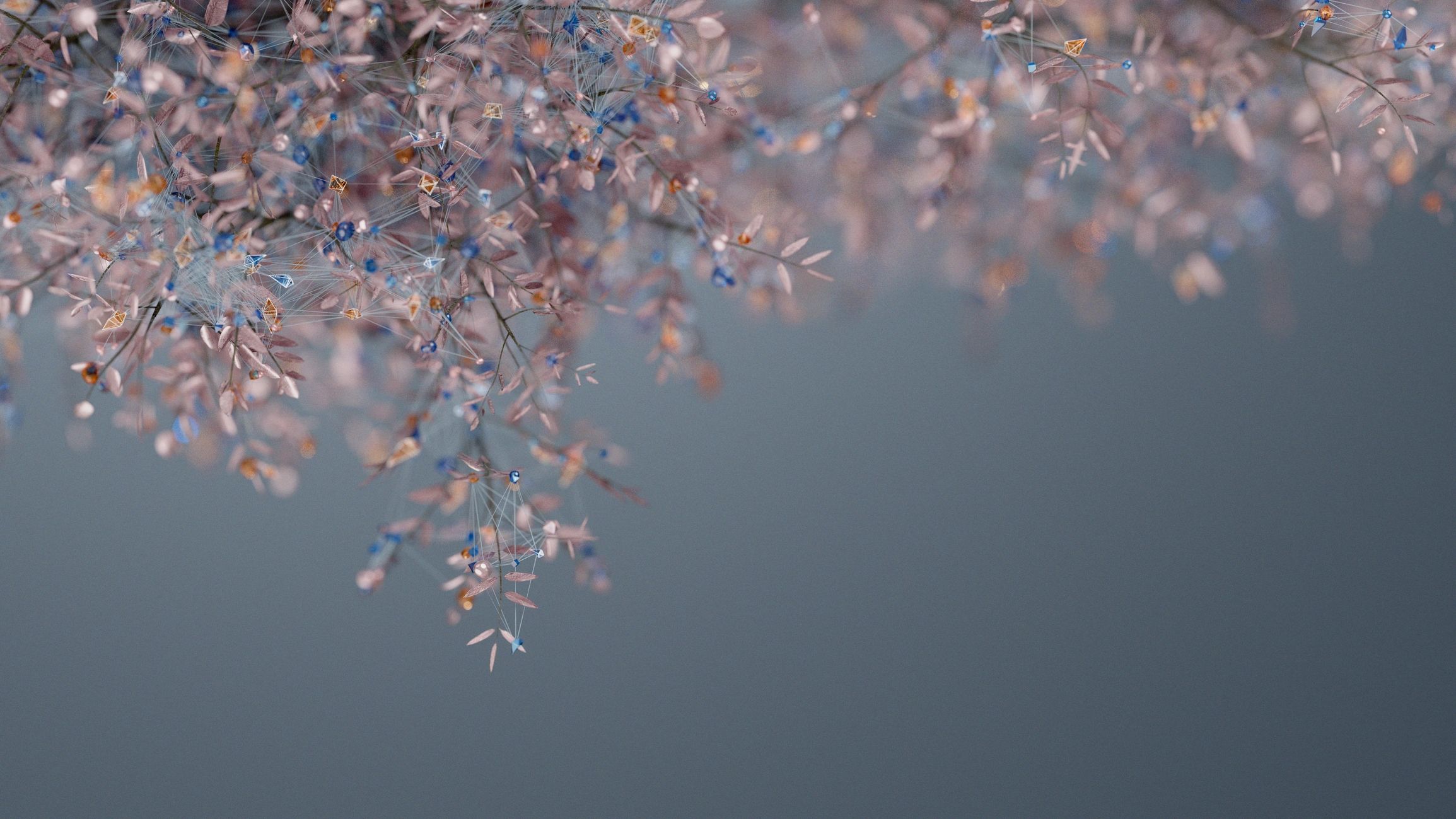 Australian nature botanical minimalist