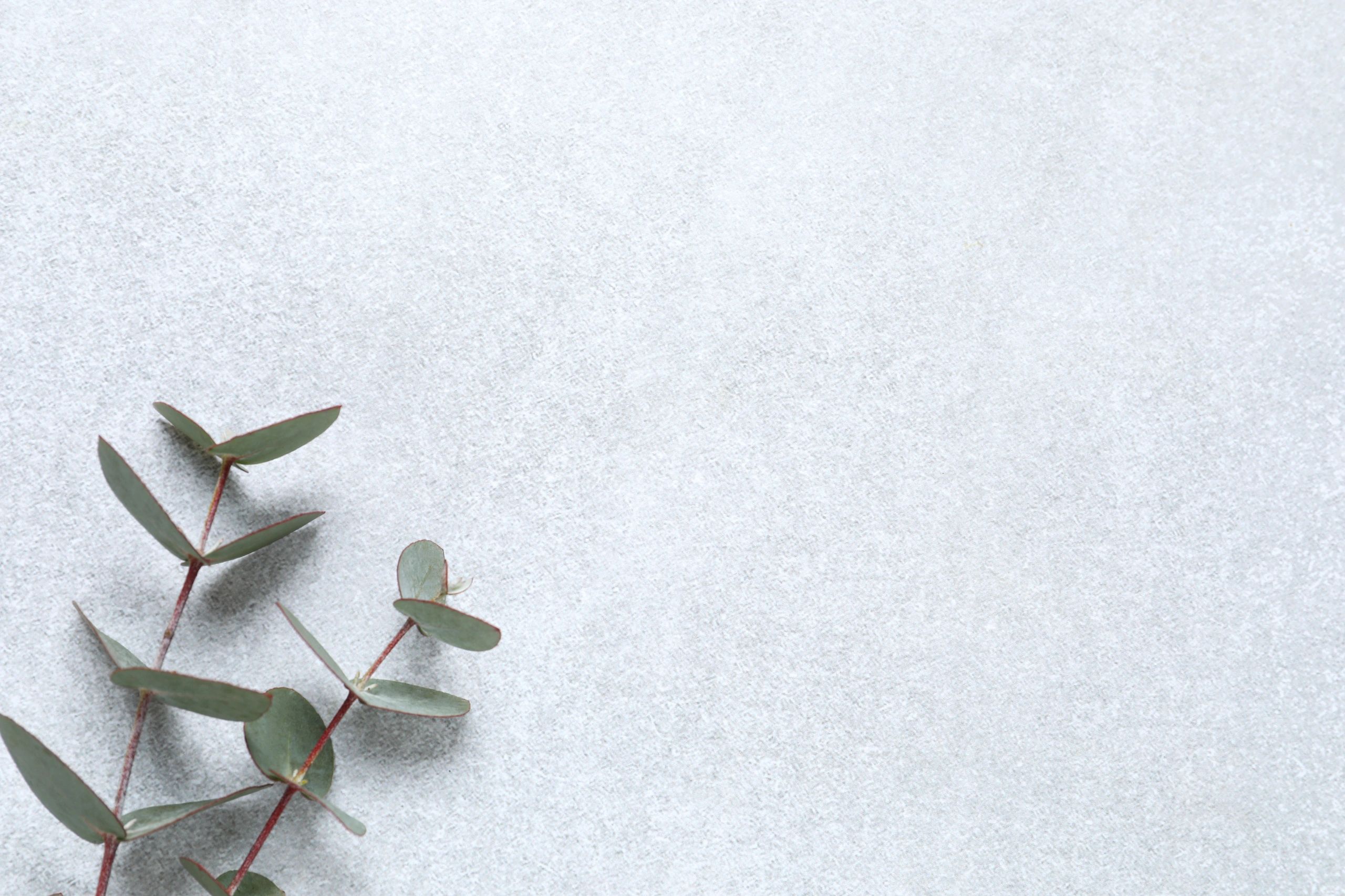 Australian nature botanical minimalist